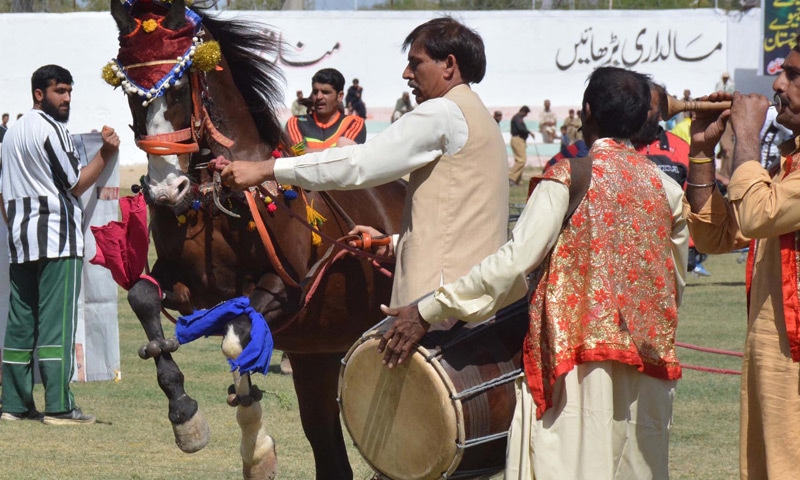 Sibi Mela