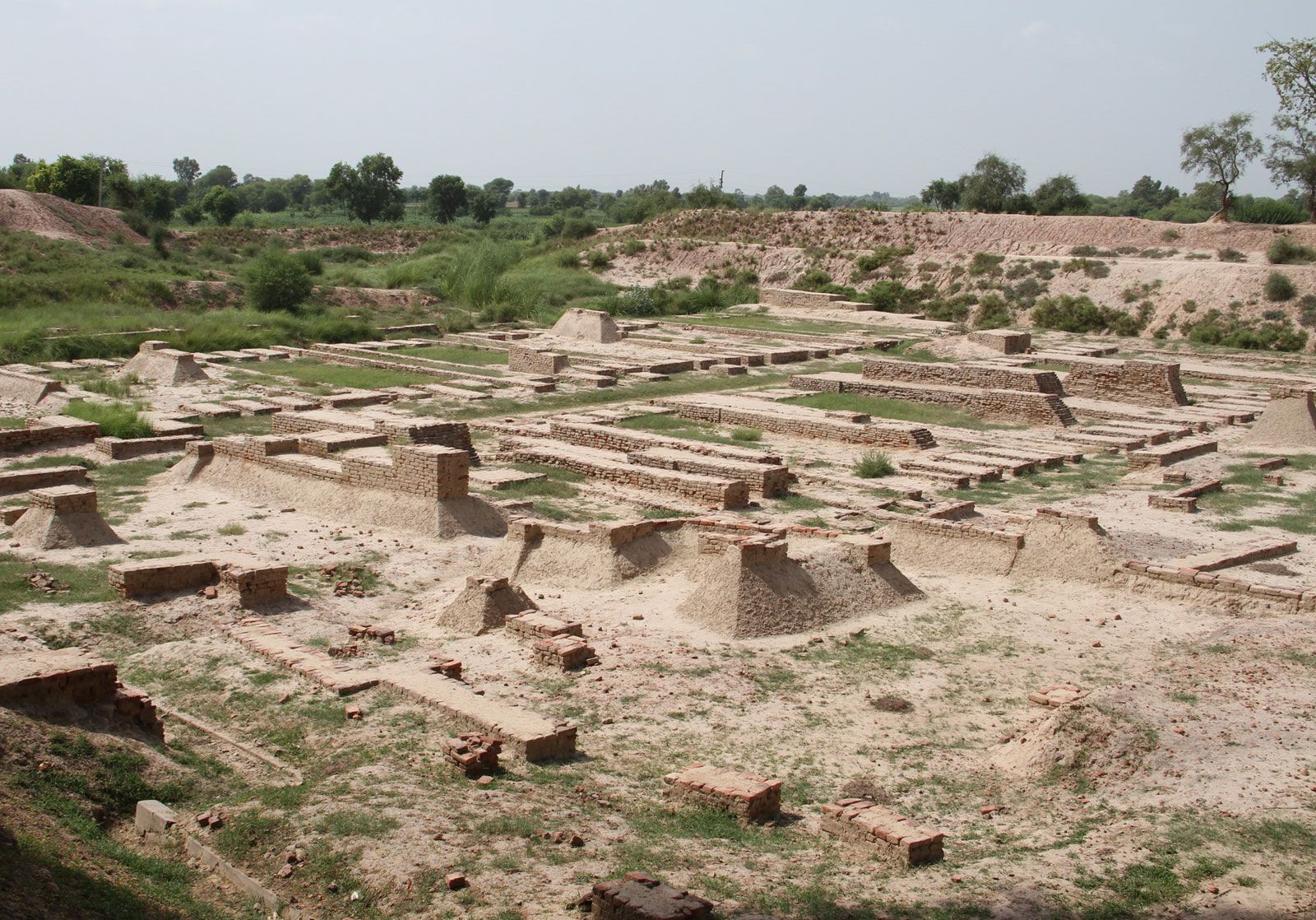 Harappa Image 2
